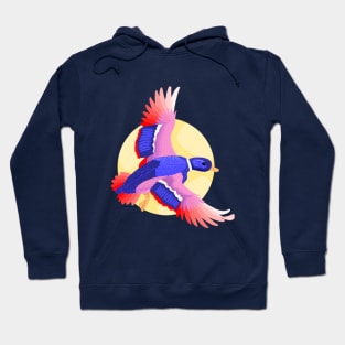 Surreal Mallard Duck Hoodie